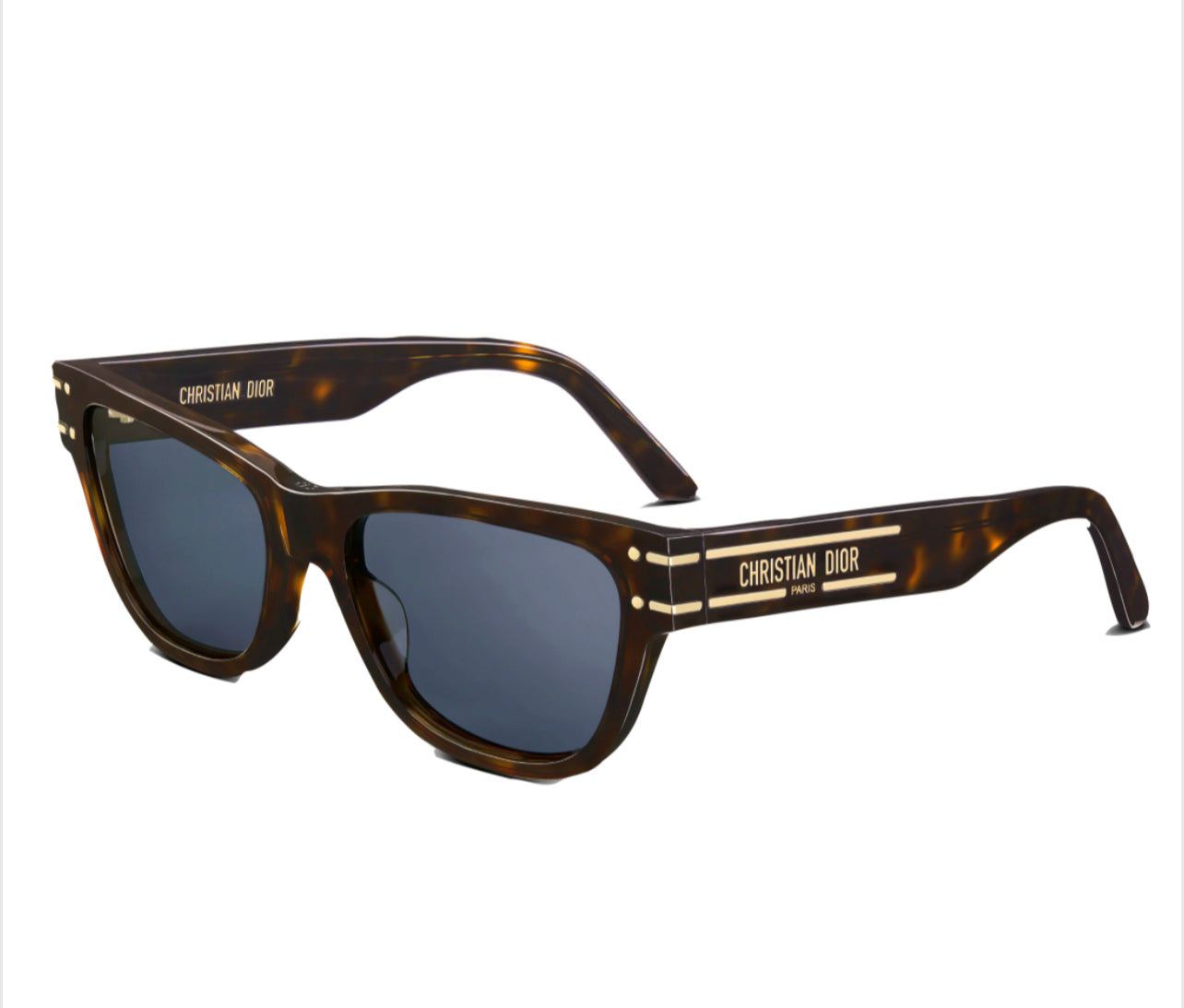 Christian DIOR Signature