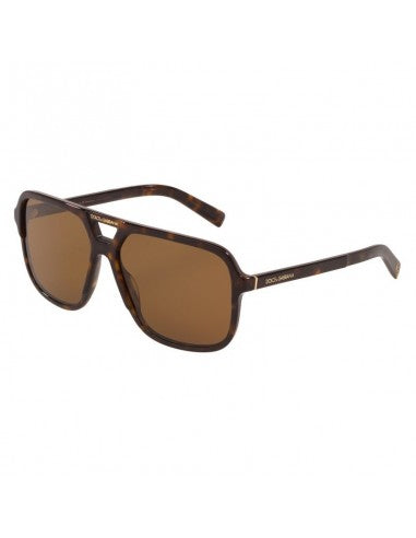 Dolce & Gabbana DG4354 502/83 Aviator Square Cafe Carey
